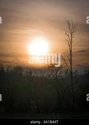 Ambiance du soir avec des arbres et des buissons, soleil derrière les nuages Banque D'Images