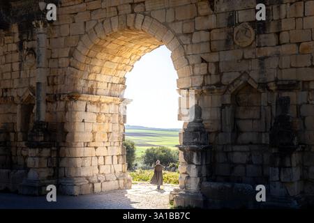 Volubilis, un site classé au patrimoine mondial de l'UNESCO près de Meknès, au Maroc, est une ville romaine bien préservée avec des ruines mettant en valeur l'héritage de l'Empire romain dans le Nord Banque D'Images