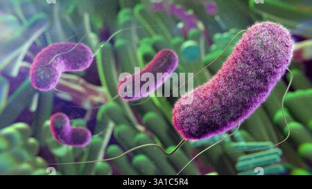 Mirror Life, illustration conceptuelle. Beaucoup de biomolécules sont chirales, c'est-à-dire qu'elles peuvent exister sous deux formes miroirs analogues à des versions droitières et gauches. Une seule des formes se retrouvera dans la nature. Par exemple, l'ADN est droitier et les protéines gaucher. Il doit être possible de réaliser des cellules, dites cellules miroirs, entièrement à partir de molécules d'image miroir. Cependant, cela a été mis en garde contre, car les systèmes immunitaires, les médicaments et les antimicrobiens ne fonctionneraient pas contre les cellules miroirs et ils pourraient se propager sans contrôle. Banque D'Images