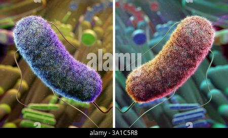 Mirror Life, illustration conceptuelle. Beaucoup de biomolécules sont chirales, c'est-à-dire qu'elles peuvent exister sous deux formes miroirs analogues à des versions droitières et gauches. Une seule des formes se retrouvera dans la nature. Par exemple, l'ADN est droitier et les protéines gaucher. Il doit être possible de réaliser des cellules, dites cellules miroirs, entièrement à partir de molécules d'image miroir. Cependant, cela a été mis en garde contre, car les systèmes immunitaires, les médicaments et les antimicrobiens ne fonctionneraient pas contre les cellules miroirs et ils pourraient se propager sans contrôle. Banque D'Images