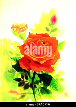 Aquarelle original peinture réaliste couleur rouge de fleur de rose et d'émotion sur fond jaune Banque D'Images