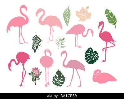 Ensemble d'oiseaux flamants roses et de feuilles tropicales Illustration de Vecteur