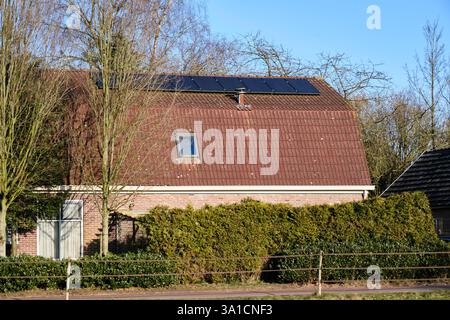 Pays-Bas : Maison traditionnelle avec un toit mansarde recouvert de tuiles rouges, avec des panneaux solaires sur la partie supérieure. Mur de maison partiellement caché par a ta Banque D'Images