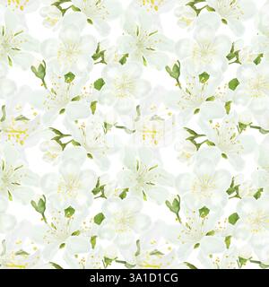 Fleurs printanières florissantes avec des pétales délicats et des étamines jaunes, motif sans couture. Illustration numérique aquarelle. Bourgeons blancs isolés sur fond blanc Banque D'Images