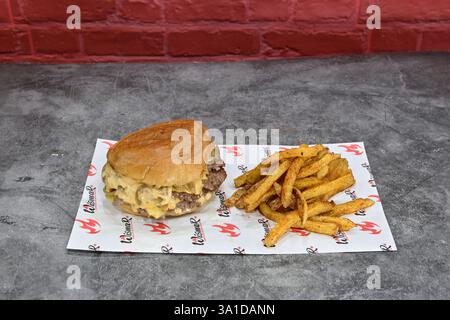 Un burger et des frites sur un papier rouge et blanc. Le hamburger est garni de fromage et comporte deux galettes. Les frites sont assaisonnées et semblent croustillantes Banque D'Images