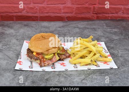Un hamburger et des frites sur une assiette en papier. Le hamburger est garni de cornichons et de moutarde. Les frites sont dorées et croustillantes Banque D'Images