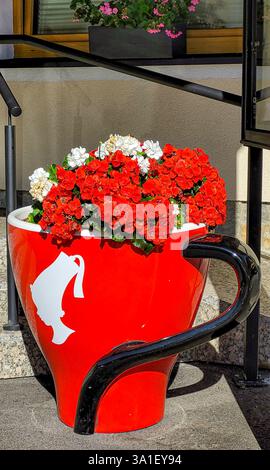 De très belles fleurs de géranium rouge et blanc poussent dans un grand pot sous la forme d'une tasse de café rouge de marque Julius Meinl. Géranium en aménagement paysager. Au Banque D'Images