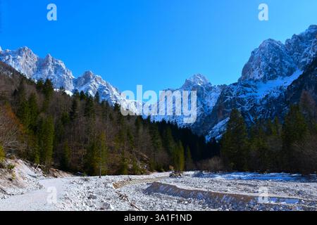 Gisement alluvial rocheux au-dessous des montagnes de la vallée de Krnica à Gorenjska, Slovénie Banque D'Images