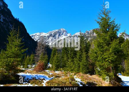 Vue du sommet de montagne au-dessus de Vršič depuis la vallée de Krnica à Gorenjska, Slovénie Banque D'Images