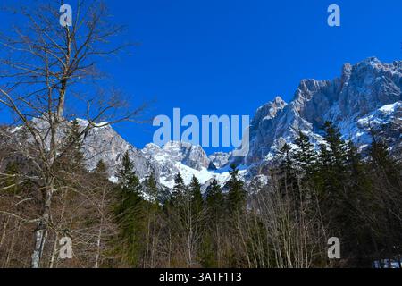 Vue sur les montagnes au-dessus de la vallée de Krnica dans les alpes juliennes, Gorenjska, Slovénie Banque D'Images