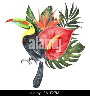 Toucal avec fleur d'anthurium et strelitzia, composition de feuilles tropicales. Illustration d'aquarelle dessinée à la main isolée sur fond blanc. Pour la décoration Banque D'Images