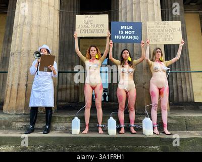Nous les voyons - activisme végétalien pour la libération des animaux protester contre la traite des vaches laitières, à la National Gallery Steps, Édimbourg, Écosse Banque D'Images