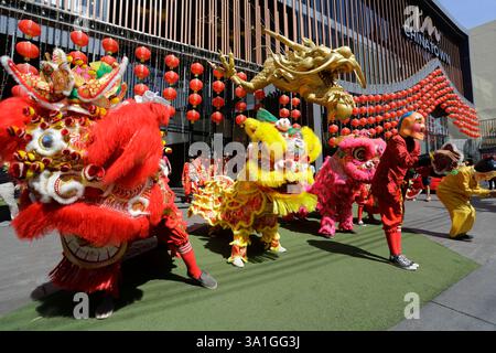 Bangkok, Thaïlande - 21 janvier 2023 : des danseurs exécutent la danse du lion pour célébrer le nouvel an lunaire chinois à Chinatown. Banque D'Images
