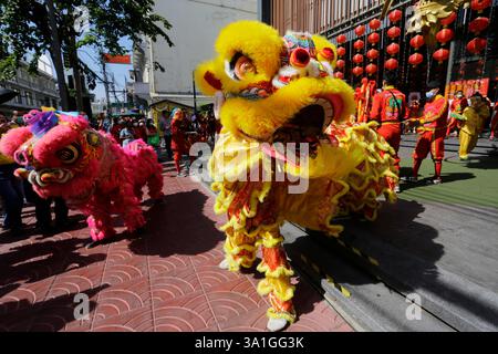 Bangkok, Thaïlande - 21 janvier 2023 : des danseurs exécutent la danse du lion pour célébrer le nouvel an lunaire chinois à Chinatown. Banque D'Images