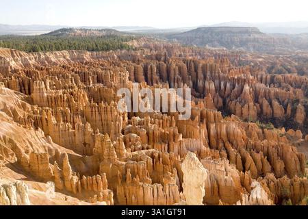 Hoodoos, pilier de roches formé par l'érosion dans le parc national de Bryce Canyon, États-Unis d'Amérique Banque D'Images