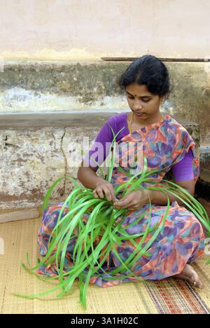 Cottage Industry, femme tissant des paniers de bandes en plastique, Tamil Nadu, Inde, Asie Banque D'Images