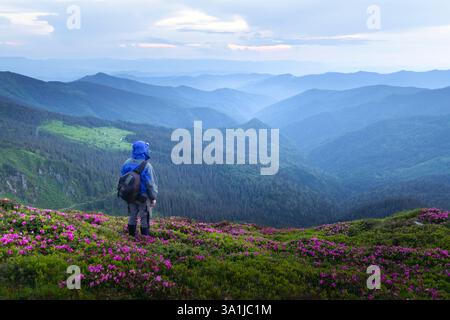 Voyageur profitant d'une vue panoramique depuis une montagne couverte de rhododendrons, baigné dans la douce lueur d'un coucher de soleil violet. Montagnes printanières. Photographie de paysage Banque D'Images