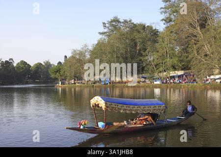 Homme bateau à rames dans le lac, Hill Station Kodaikanal, Tamil Nadu, Inde, Asie Banque D'Images