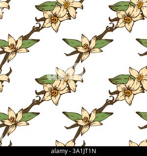 Motif vectoriel sans couture avec des haricots de vanille, des herbes aromatiques et des fleurs délicates. Parfait pour les emballages cosmétiques naturels et biologiques et illustratio Illustration de Vecteur