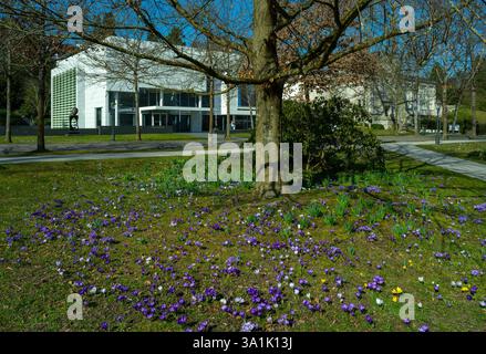 Les crocodiles dans les jardins du spa Baden Baden Germany, Europe Banque D'Images