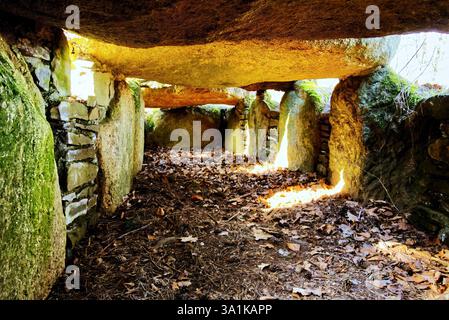 Chambre funéraire d'un tombeau mégalithique néolithique, vue intérieure du site funéraire dans une forêt du nord de l'Allemagne. Banque D'Images