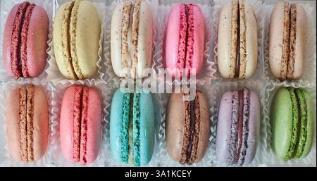Bannière de macarons français brillants avec paperpan blanc en deux rangées, boîte d'emballage transparente en plastique, gâteaux colorés de différentes saveurs. appétissant dessinateur Banque D'Images