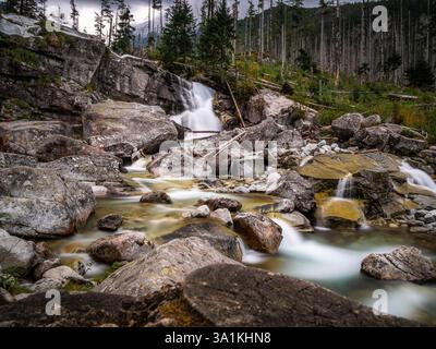 Cascades dans les montagnes entourées d'arbres avec une longue exposition Banque D'Images