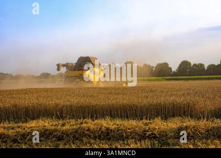 Grande moissonneuse-batteuse battant au coucher du soleil Banque D'Images