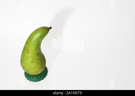 pear conference sur support rond ombre portée sur fond blanc. magnifiquement courbé, avec tige courte, pelage vert avec taches gris-marron. avec clipping Banque D'Images