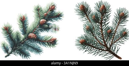 Collection de vecteur d'aquarelle illustrationa des aiguilles de pin Illustration de Vecteur