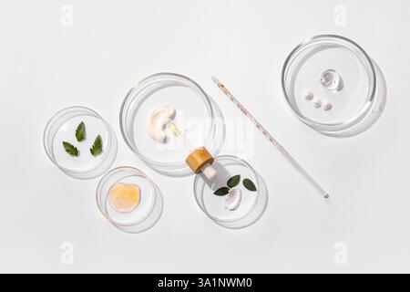 Boîtes de Petri avec des échantillons de produits cosmétiques naturels sur fond clair Banque D'Images