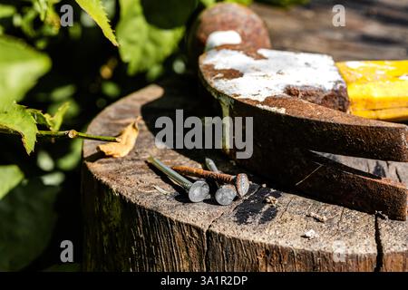 Marteau rouillé et clous sur Stump en bois. Outils à main rouillés et clous sur une surface en bois Banque D'Images