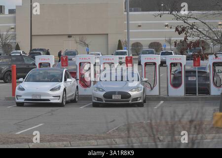 Leominster, Massachusetts, États-Unis. 9 mars 2025. Certaines voitures électriques à une station de charge Tesla dans un parking de centre commercial local à plusieurs kilomètres d'une autre station de charge qui a été délibérément incendiée. (Crédit image : © Kenneth Martin/ZUMA Press Wire) USAGE ÉDITORIAL SEULEMENT! Non destiné à UN USAGE commercial ! Banque D'Images