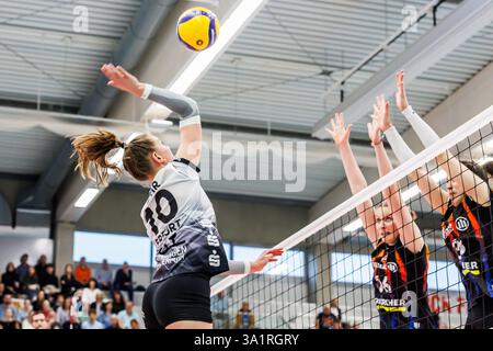 Erfurt, Deutschland. 08 mars 2025. Pia Mohr (Schwarz-Weiss Erfurt, 10) überwindet den Block von Marie Steinhilber (MTV Stuttgart, 16) und Maria Segura Palleres (MTV Stuttgart, 33), 08.03.2025, Erfurt (Allemagne), volleyball, Bundesliga Frauen, Schwarz-Weiss Erfurt - Allianz MTV Stuttgart crédit : dpa/Alamy Live News Banque D'Images