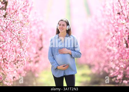 Vue de face portrait d'une femme enceinte écoutant de la musique avec casque marchant dans un champ fleuri rose Banque D'Images