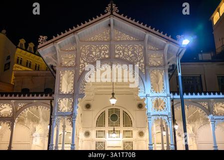La Colonnade du marché en bois richement sculpté à Karlovy Vary, Carlsbad, ancienne ville thermale historique avec des sources thermales dans la région de Bohême occidentale de la République tchèque Banque D'Images