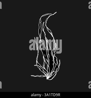 Illustration graphique d'algues de varech dessinée à la main ou d'algues de semis de laminaire. Dessin naturel Illustration de Vecteur