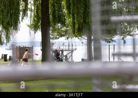 Themenbilder - Bodensee Meersburg, Deutschland - 15. Août 2023 : Menschen schwimmen und springen in den Bodensee und spielen Frisbee am Ufer . Baden-Württemberg Banque D'Images