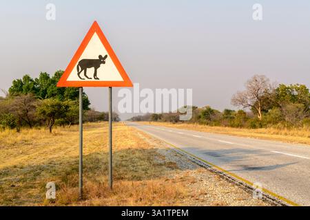 Panneau de signalisation méfiez-vous des chiens sauvages africains, Namibie Banque D'Images