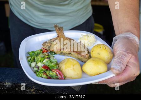 Poisson-flet frit avec salade de pommes de terre et de légumes. Plat de poisson - poisson plat frit avec des pommes de terre bouillies. Banque D'Images