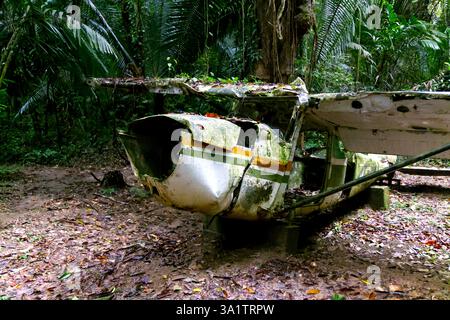 Un avion s'est écrasé dans la forêt de la réserve naturelle du bassin de Cockscomb, au Belize Banque D'Images