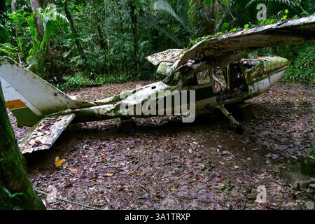 Un avion s'est écrasé dans la forêt de la réserve naturelle du bassin de Cockscomb, au Belize Banque D'Images