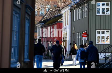 Trondheim, Norvège. 10 mars 2025. Les maisons en bois dans le centre de Trondheim brillent dans la lumière du soleil. Après des journées pluvieuses avec des températures douces, la semaine dans la troisième plus grande ville de Norvège commence avec beaucoup de soleil. Crédit : Hendrik Schmidt/dpa/Alamy Live News Banque D'Images