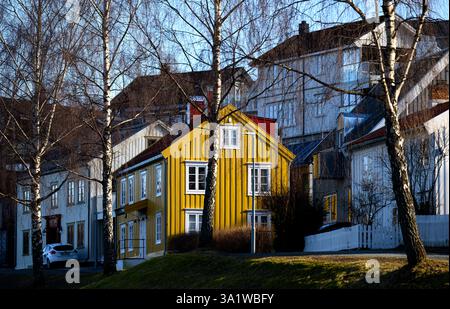 Trondheim, Norvège. 10 mars 2025. Les maisons en bois dans le centre de Trondheim brillent dans la lumière du soleil. Après des journées pluvieuses avec des températures douces, la semaine dans la troisième plus grande ville de Norvège commence avec beaucoup de soleil. Crédit : Hendrik Schmidt/dpa/Alamy Live News Banque D'Images