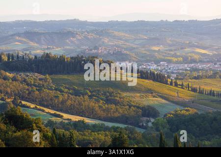 Hüglige Landschaft der Toskana mit Weinbergen, Olivenhainen und Säulen-Zypressen Cupressus sempervirens im Morgenlicht, im Hintergrund Certaldo Alto, Banque D'Images