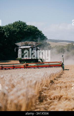 Une grosse moissonneuse-batteuse traverse un champ de blé. La machine est couverte de poussière et il est en train de récolter la récolte. Concept Banque D'Images