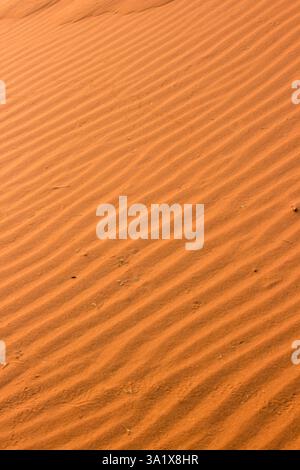 Le vent ondule dans le sable dans les sables rouges d'une dune du désert du Namib dans le soleil doré tôt le matin. Banque D'Images