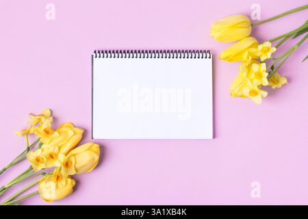 Cahier en papier ouvert avec page vide avec tulipes jaunes et jonquilles jaunes sur fond violet. Vue de dessus, pose plate, espace de travail sur fond violet. Banque D'Images