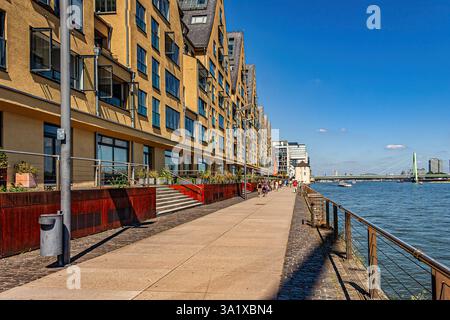 Les gens profitent d'une journée d'été ensoleillée se promenant le long du Rhin dans le quartier Rheinauhafen de Cologne. Cologne, Allemagne, Europe Banque D'Images