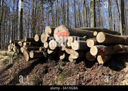 Un bois frais polter au bord de la forêt Banque D'Images